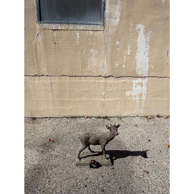 Vintage French Standing Deer Small 19" Cement Concrete Stone Garden Statue For Sale - Image 14 of 16