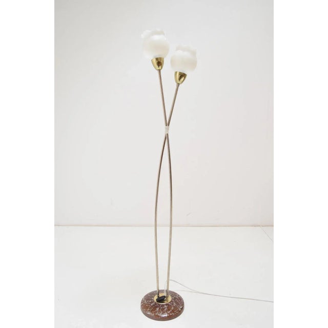 Mid-Century Floor Lamp by Kamenicky Senov, 1960s For Sale - Image 9 of 10