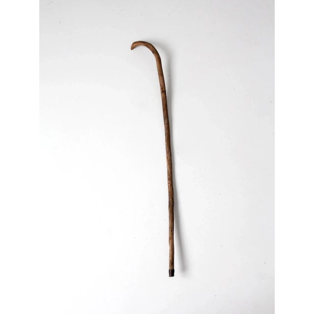 Rustic Antique Walking Stick For Sale - Image 3 of 11