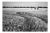 Paul Cooklin, Wheat Field, Occold IV, Edition of 50 For Sale