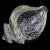 Glass Antique Murano Seguso Vetri d'Arte Poli Italian Art Deco Glass Conch Seashell Figure Sculpture For Sale - Image 7 of 11