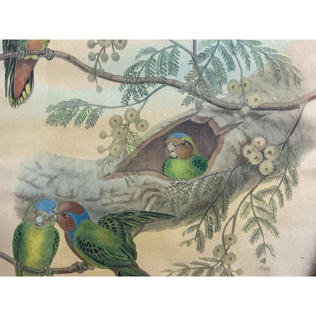 Green Victorian Style Framed Giltwood Watercolor on Paper Tropical Parrots / Birds For Sale - Image 8 of 10