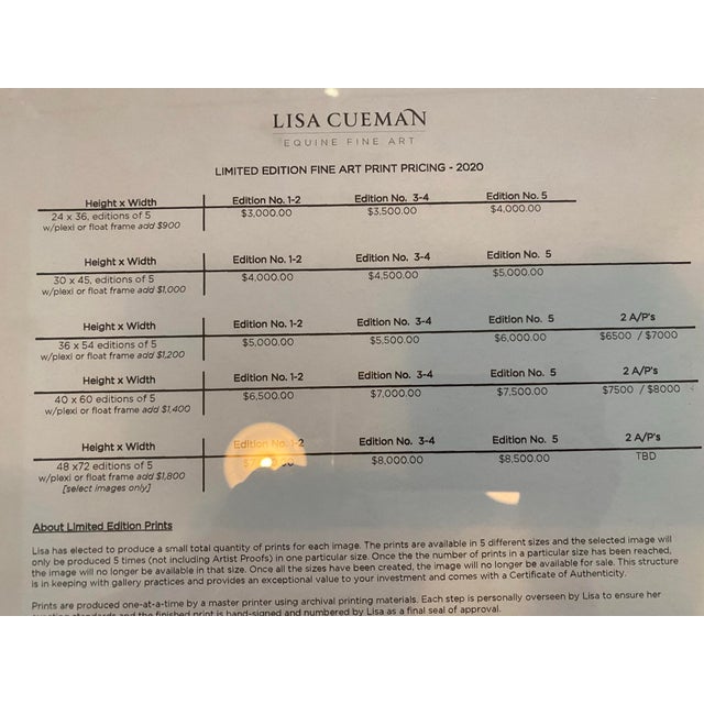 Wild Horse the Outer Banks, North Carolina Limit Edition of 5 Photographs Adhered to Plexiglass “Evening Grazer” by Award Winning Artist Lisa Cueman For Sale - Image 9 of 12