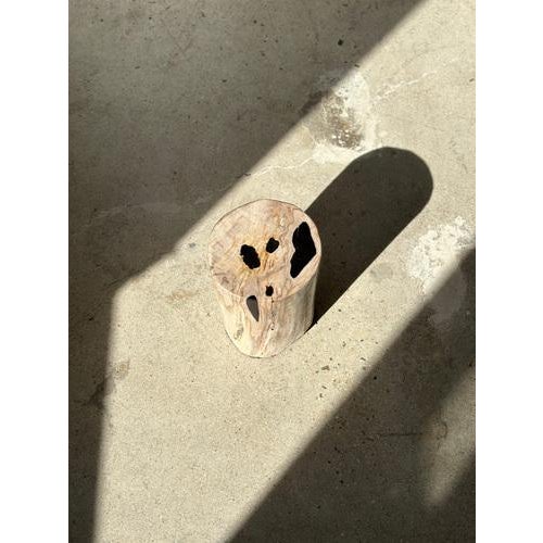 Side table, pedestal table or occasional furniture in petrified wood, predominantly white and black spots. Petrified wood...