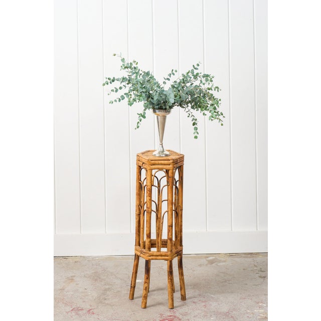 This burnt bamboo stand features warm, honeyed-toned bamboo with the classic burnt finish. The octagonal top sits on...