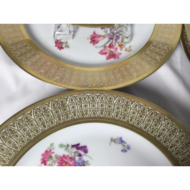 Vintage Tirschenreuth Porcelain Service Plates- Set of 12 For Sale - Image 10 of 13