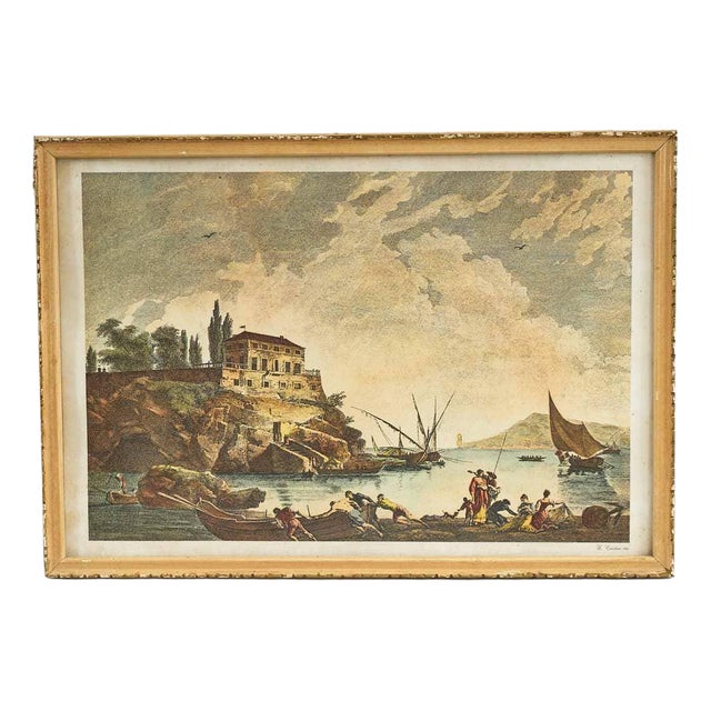 G. Cristini, Marine Life, Print For Sale