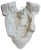Mid 20th Century Sculpture of Male Torso Wall Hanging For Sale - Image 4 of 5