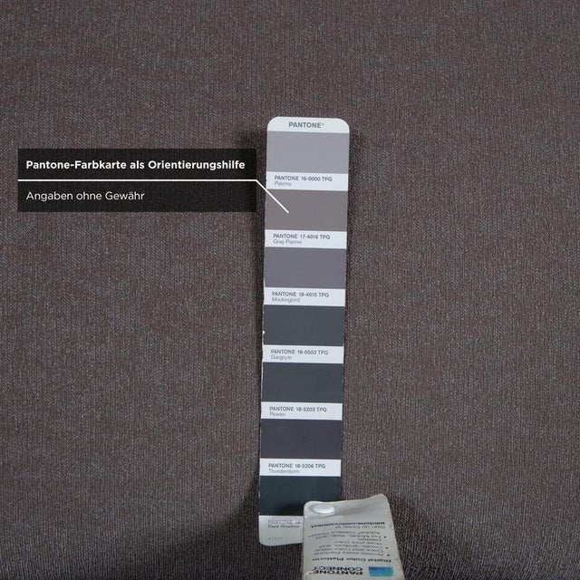 Grey Three-Seater Sofa with Silver Lion Paws from Bretz Gaudi For Sale - Image 6 of 11