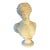 Plaster Bust of Antinous For Sale