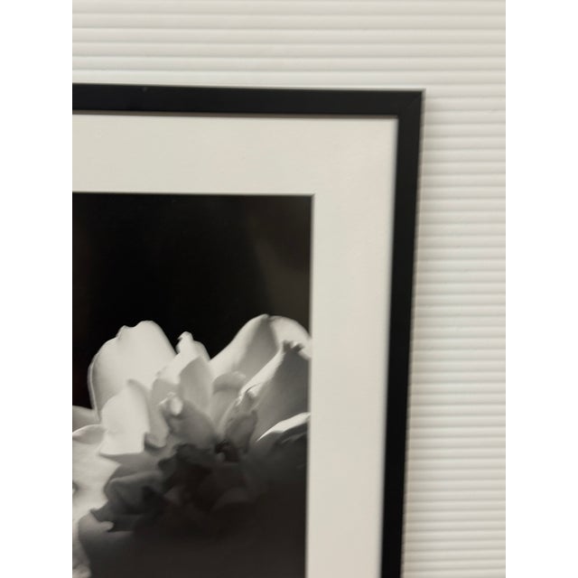 Modern Jess Johnston Photograph, Framed For Sale - Image 3 of 12