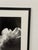 Modern Jess Johnston Photograph, Framed For Sale - Image 3 of 12