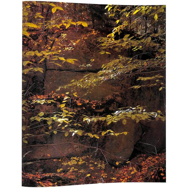 "Forever Wild: The Adirondacks" 1966 Porter, Eliot For Sale - Image 9 of 12