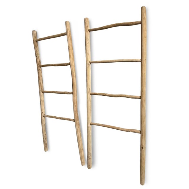 2020s Organic Modern Teak Raw Wood Display Ladder For Sale - Image 5 of 5
