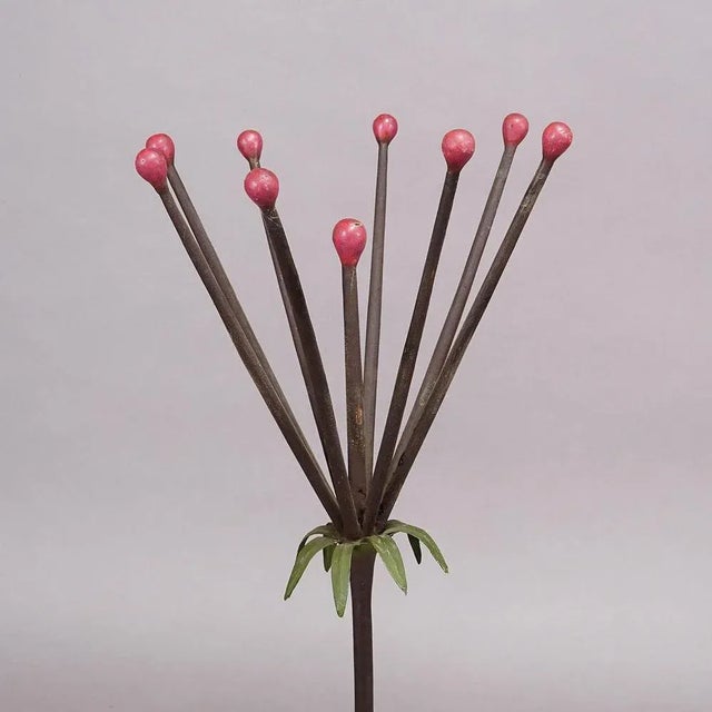 19th Century Botanic Model attributed to Robert Brendel, 1890s For Sale - Image 3 of 9