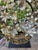 Hill Tribe Silver Ceremonial Headdress For Sale In Los Angeles - Image 6 of 6