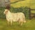 Folk Art Folk Art Farm Scene With a Lamb, Oil on Canvas For Sale - Image 3 of 7