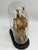 Victorian Antique French Gilt Spelter Mantel Clock Glass Dome Windmill Figural Victorian Clock C. 1880 For Sale - Image 3 of 10