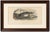 After Édouard Traviès, The Sperm Whale, 1840, Hand-Colored Engraving For Sale - Image 8 of 9