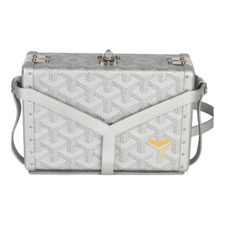 Silver Precious Metals Goyardine Canvas Minaudiere Trunk For Sale