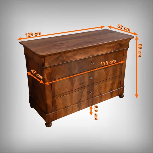 Restoration Chest of Drawers in Burr Walnut, 19th Century For Sale - Image 14 of 17