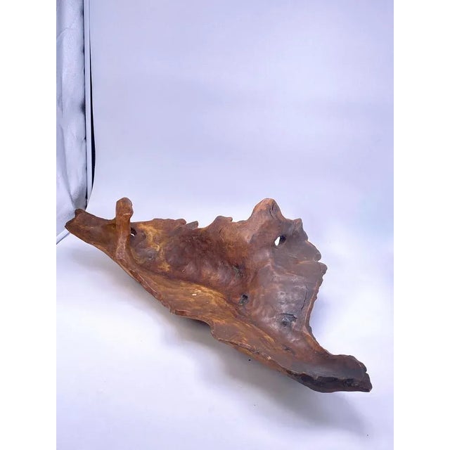 This vide poche has been made in France circa 1960. It is a Brutalist style bowl, with a free form. In a brown color.