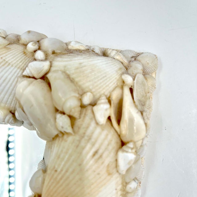 Vintage Shell Encrusted Mirror Antique White Shells For Sale In New York - Image 6 of 12