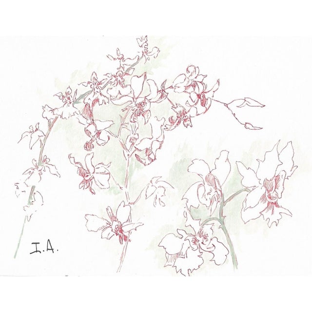 Drawing by English artist Ivy Attwell (1895-1985). Attwell traveled extensively all over the world and recorded her...