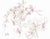 Drawing by English artist Ivy Attwell (1895-1985). Attwell traveled extensively all over the world and recorded her...