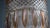 Mid-Century Modern 1950s Mid-Century Modern Stunning Vistosi 1950s Murano Glass Pendant Chandelier For Sale - Image 3 of 10