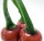 Green Vintage Murano Glass Decorative Cherries by Martinuzzi for Venini, 1930s For Sale - Image 8 of 11