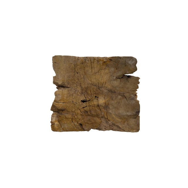 Petrified Wood Bench by Xyleia Petrified Wood For Sale - Image 4 of 6