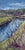 Highline Canal 2 by Delton Demarest | Oil on panel Landscape featuring a river and greenery. For Sale