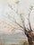 Daniel Klein, Arbre en automne avec vue sur le lac, Oil on Canvas For Sale - Image 5 of 7