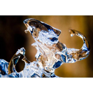 Marko Milić, Leo, Abstract Photography For Sale