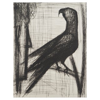 Bernard Buffet, The Parrot, Original Engraving For Sale