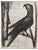 Bernard Buffet, The Parrot, Original Engraving For Sale