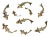 Fish Wall Décor in Gold Antique - 9 Pieces For Sale