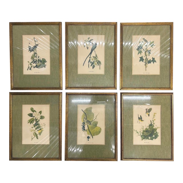 1940s Set of Six Framed Audubon-Style Botanical Prints For Sale