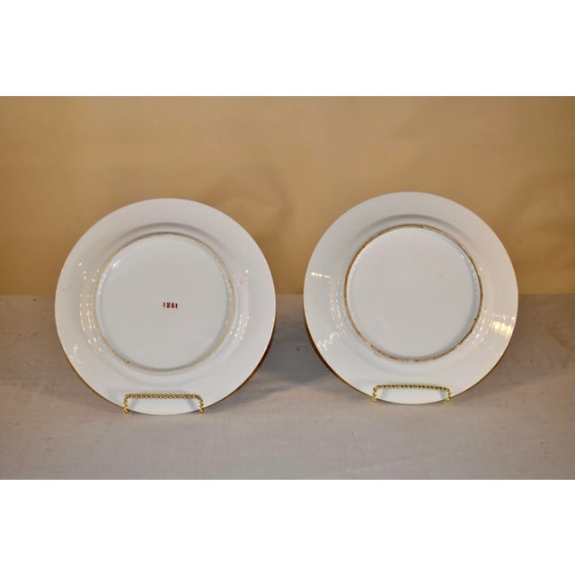 Antique White Pair of 19th Century Armorial Plates For Sale - Image 8 of 8