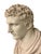 Stone Mark Antony Bust, Sculpture and Column, 20th-Century For Sale - Image 7 of 10