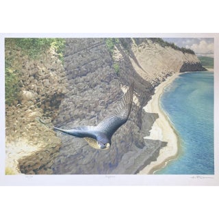 Claudio d'Angelo Peregrine Lithograph on Paper For Sale