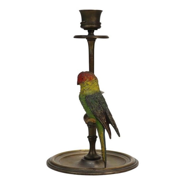 Bronze Pair Antique Brass Candlesticks & Cold Painted Bergman Bronze Parrots C1920 For Sale - Image 8 of 11