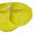 Vintage Attributed to Secla Yellow Cabbage Leaf Majolica Divided Serving Dish For Sale In Tampa - Image 6 of 11