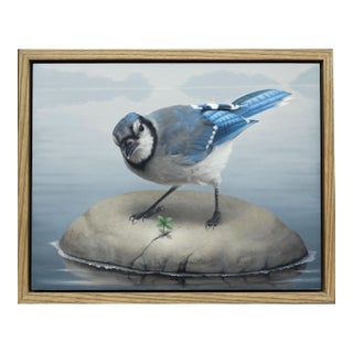 Blue Jay by Susan McDonnell | Oil on Panel Bird on Rock Painting For Sale