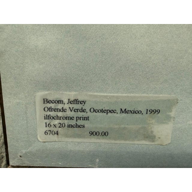 Jeffrey Becom Maya Color Chartreuse Ltd. Ed. Photograph, Signed For Sale - Image 11 of 12
