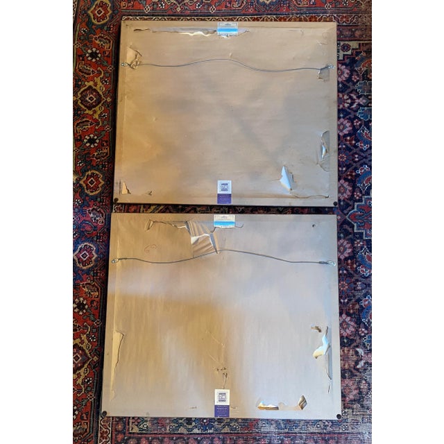 Wood Adolf Van De Laan (Dutch 1684-1755) Hand Colored Engravings "Starfish", 20th Century Restrikes. Set of 2 For Sale - Image 7 of 9