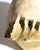 Beige Azade Köker, Early Biomorphic, 1970s, Ceramic For Sale - Image 8 of 11