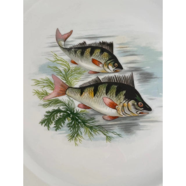 1940s-50s French Limoges Fish Plates - Set of Five For Sale - Image 6 of 17