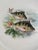 1940s-50s French Limoges Fish Plates - Set of Five For Sale - Image 6 of 17